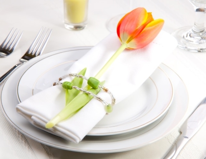 VIP зал «Альпийское шале» - Санаторий «Славутич»